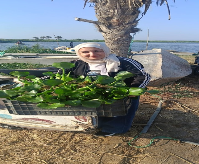 تجميع النبات من المسطحات المائية