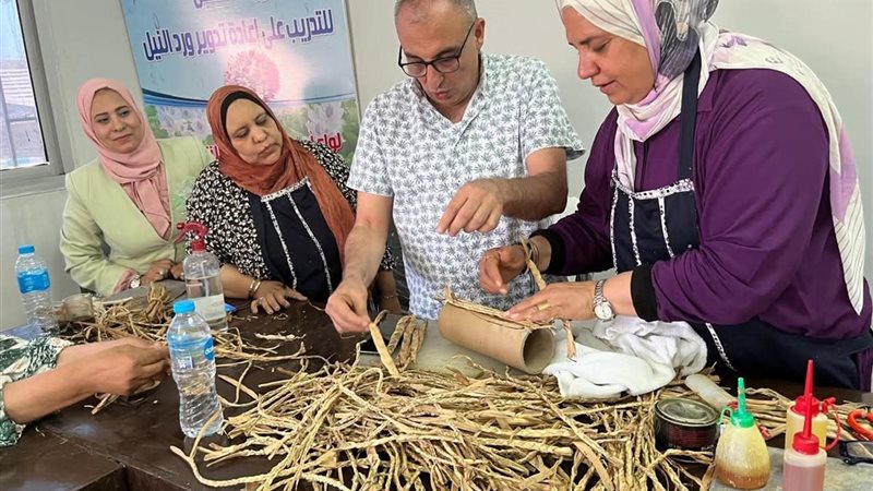 الفرز والتعقيم والتنظيف